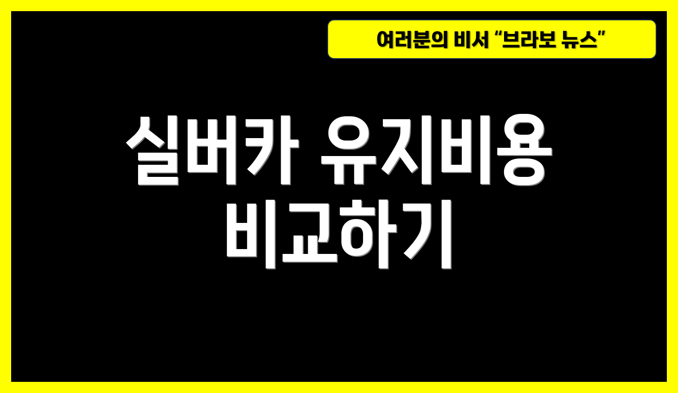 실버카 유지비용 비교하기