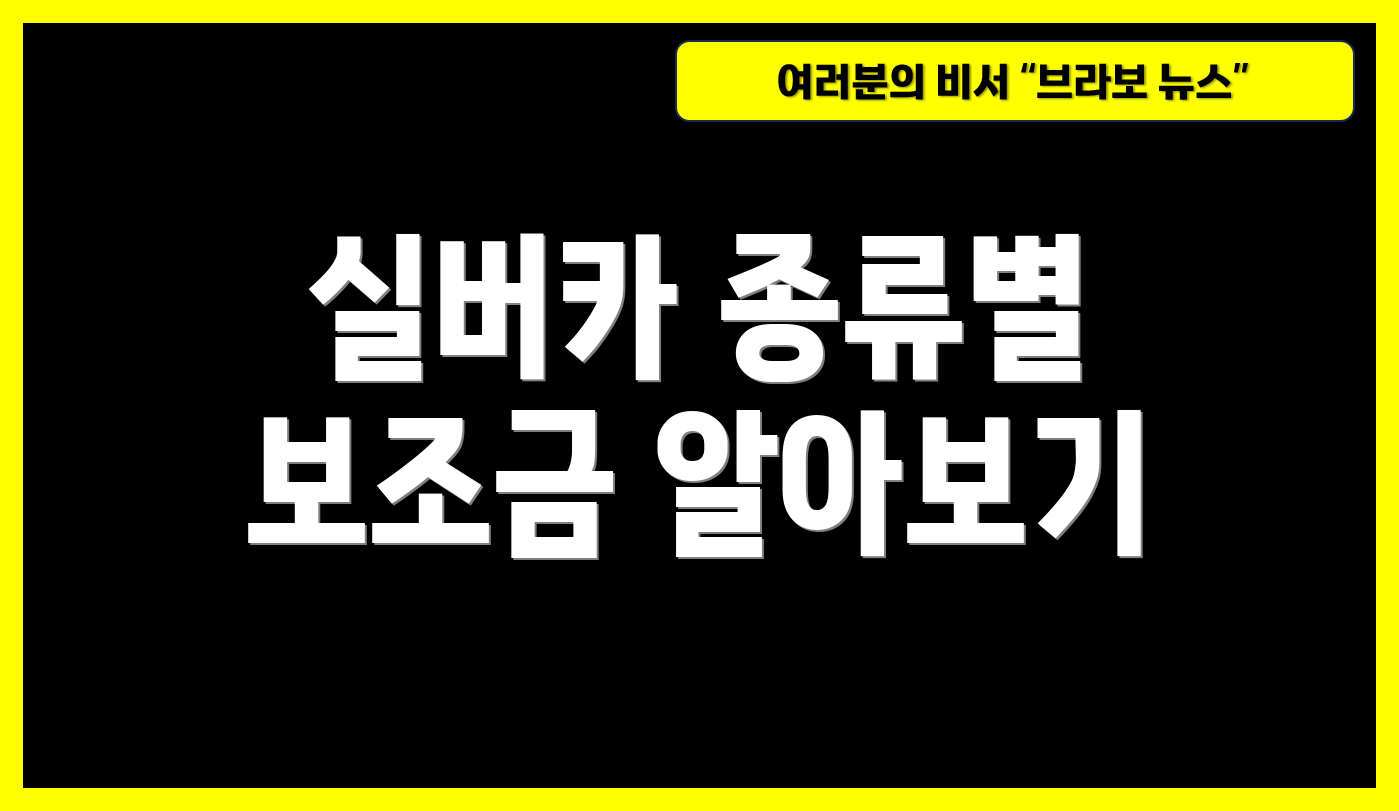 실버카 종류별 보조금 알아보기