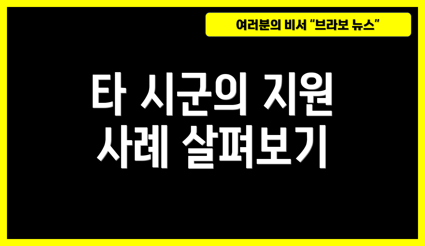 타 시군의 지원 사례 살펴보기