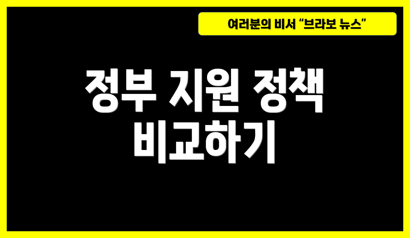 정부 지원 정책 비교하기
