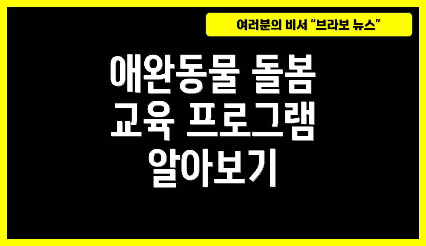 애완동물 돌봄 교육 프로그램 알아보기
