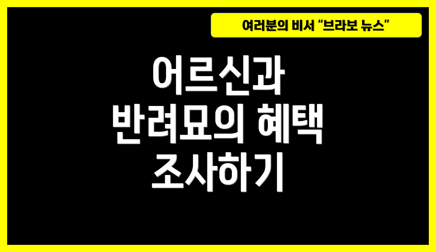 어르신과 반려묘의 혜택 조사하기