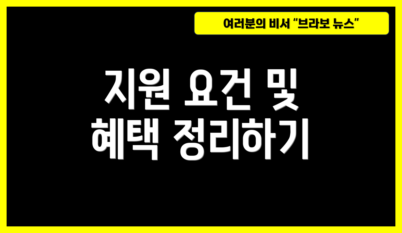 지원 요건 및 혜택 정리하기