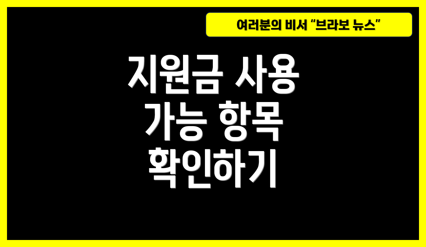 지원금 사용 가능 항목 확인하기