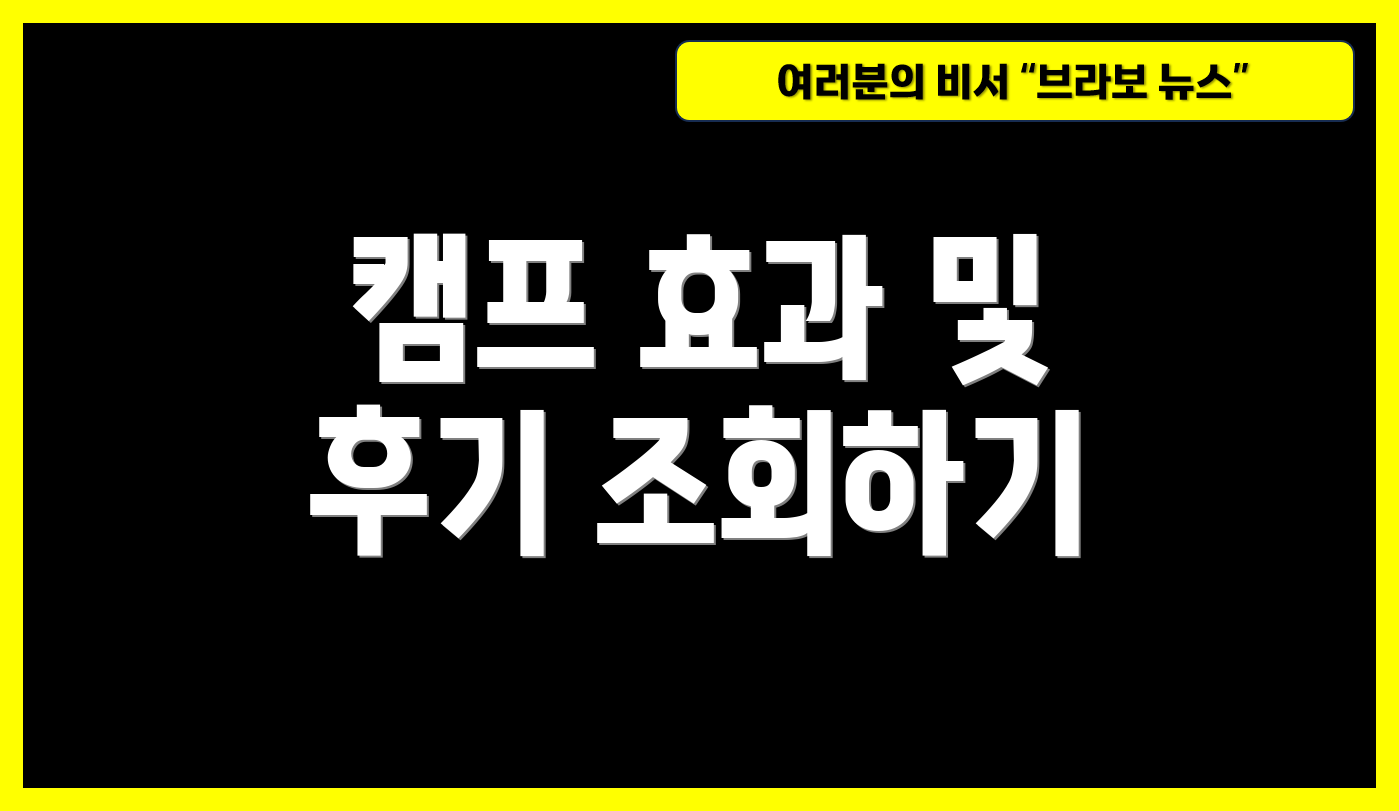 캠프 효과 및 후기 조회하기