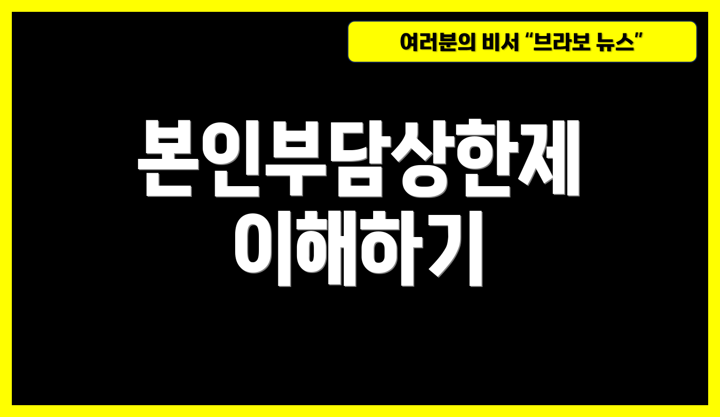 본인부담상한제 이해하기