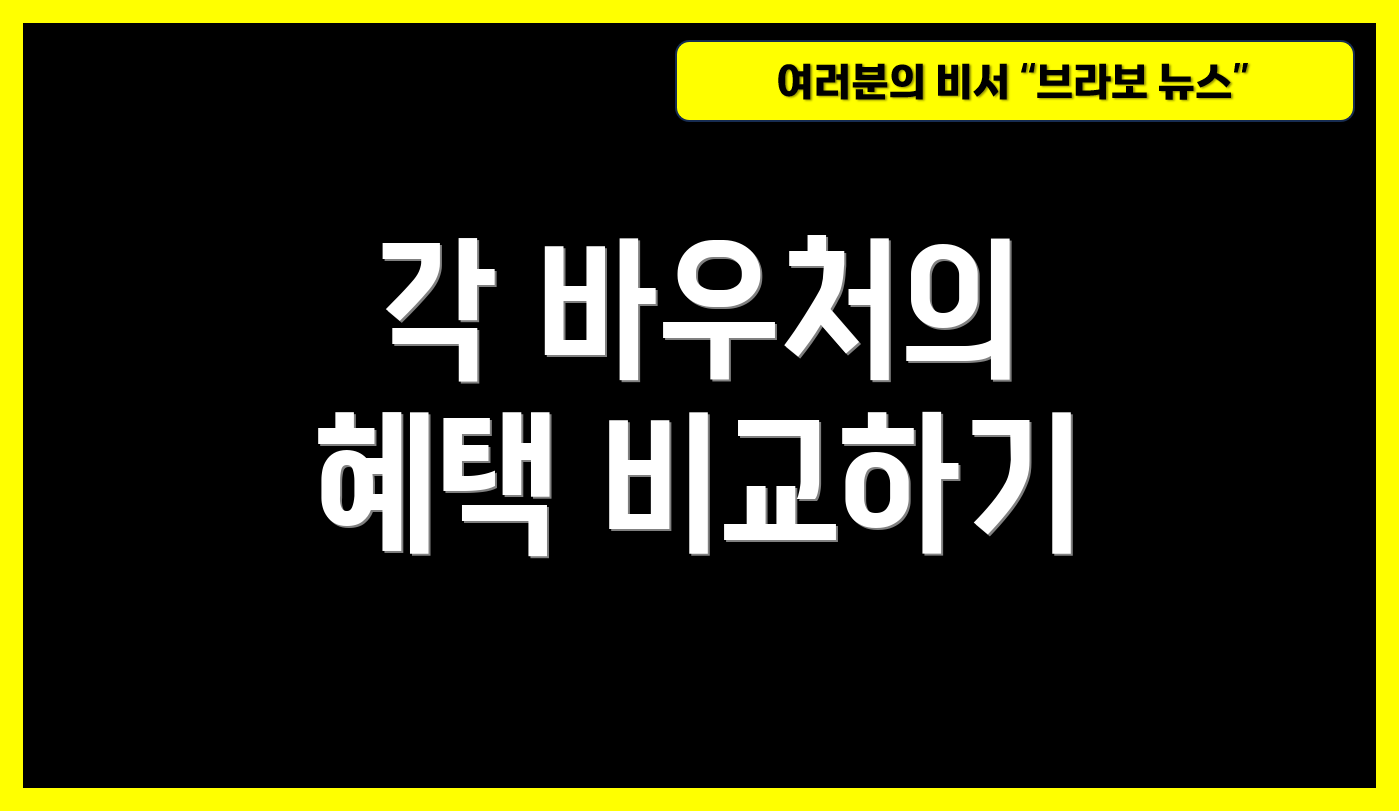 각 바우처의 혜택 비교하기