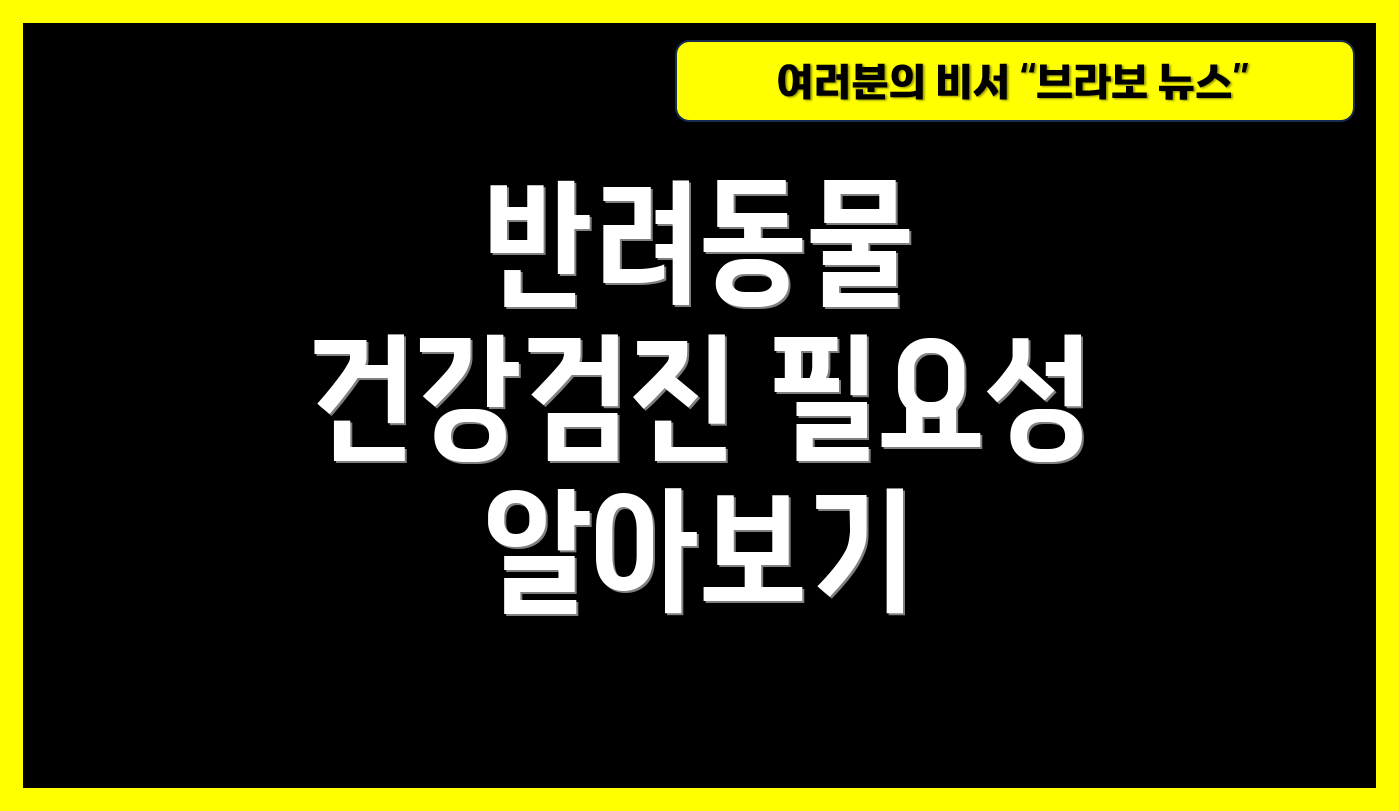 반려동물 건강검진 필요성 알아보기