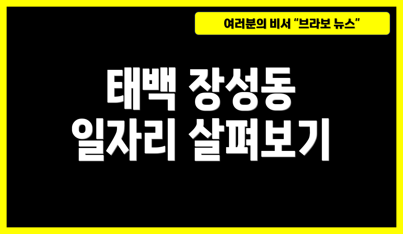 태백 장성동 일자리 살펴보기