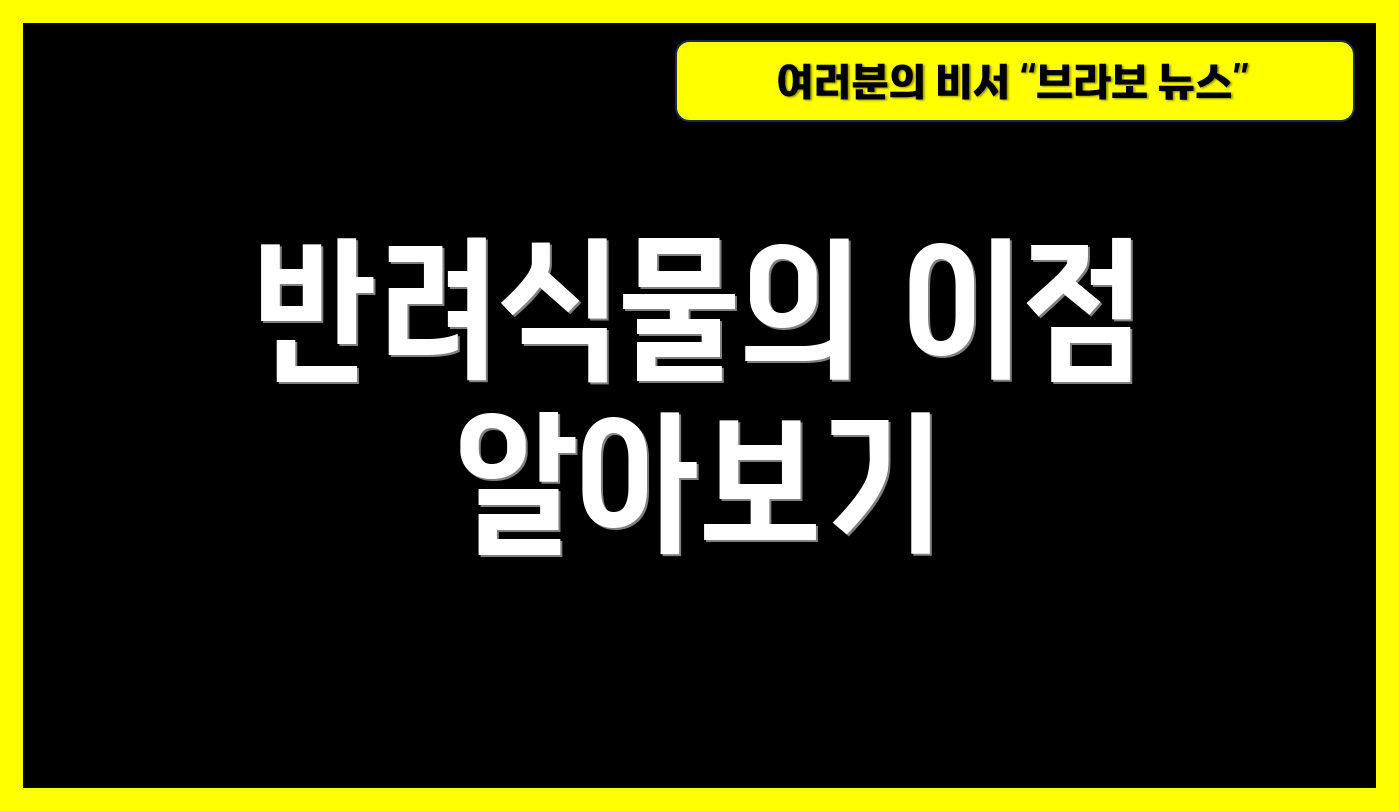 반려식물의 이점 알아보기