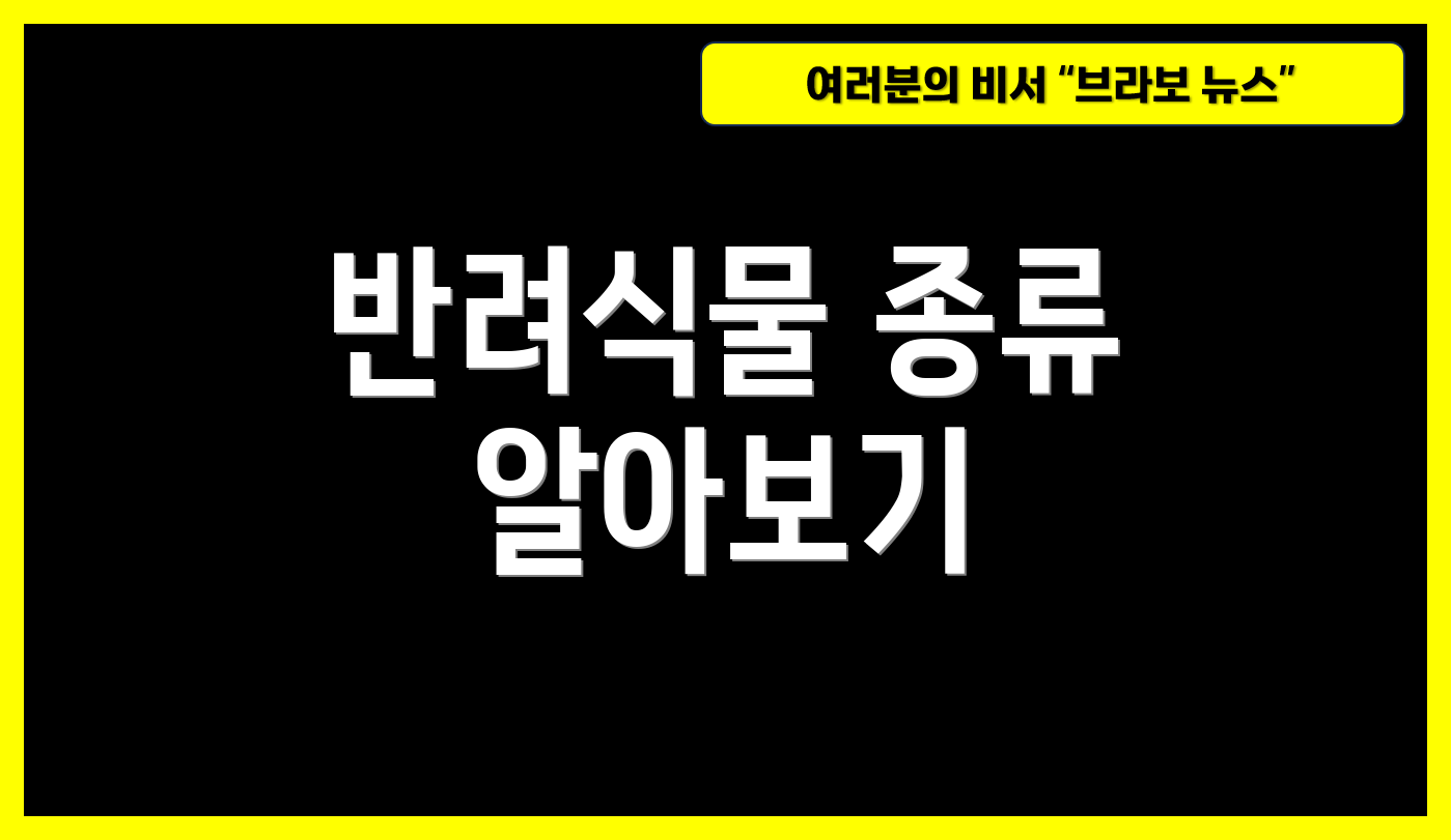 반려식물 종류 알아보기