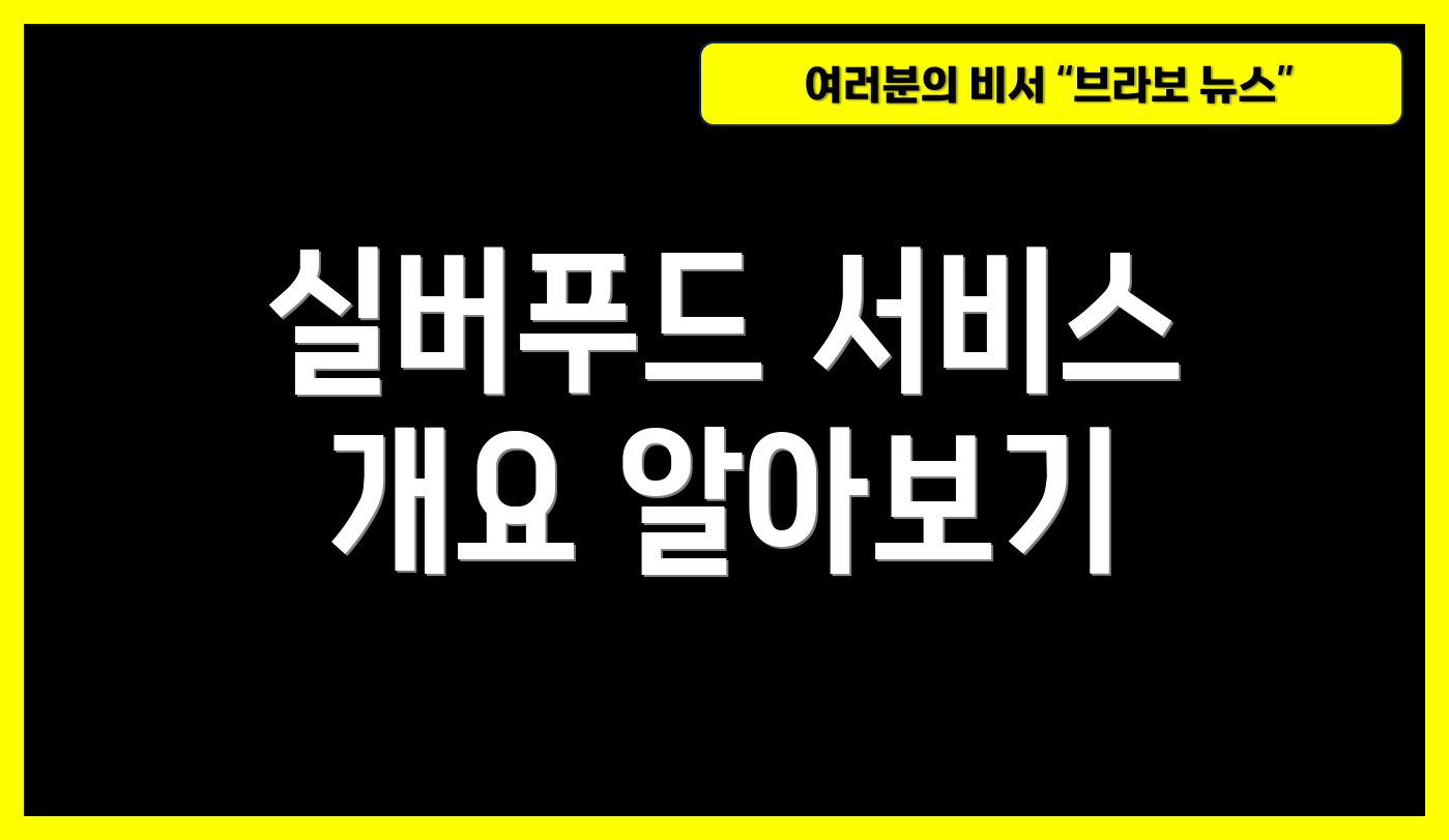 실버푸드 서비스 개요 알아보기