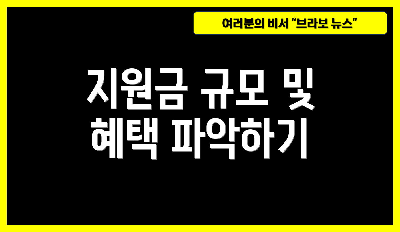 지원금 규모 및 혜택 파악하기