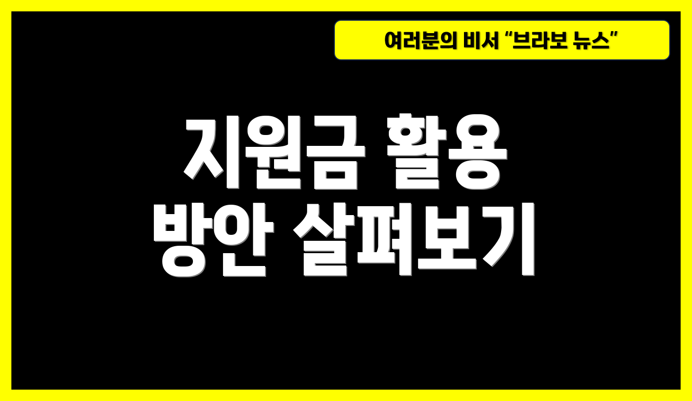 지원금 활용 방안 살펴보기