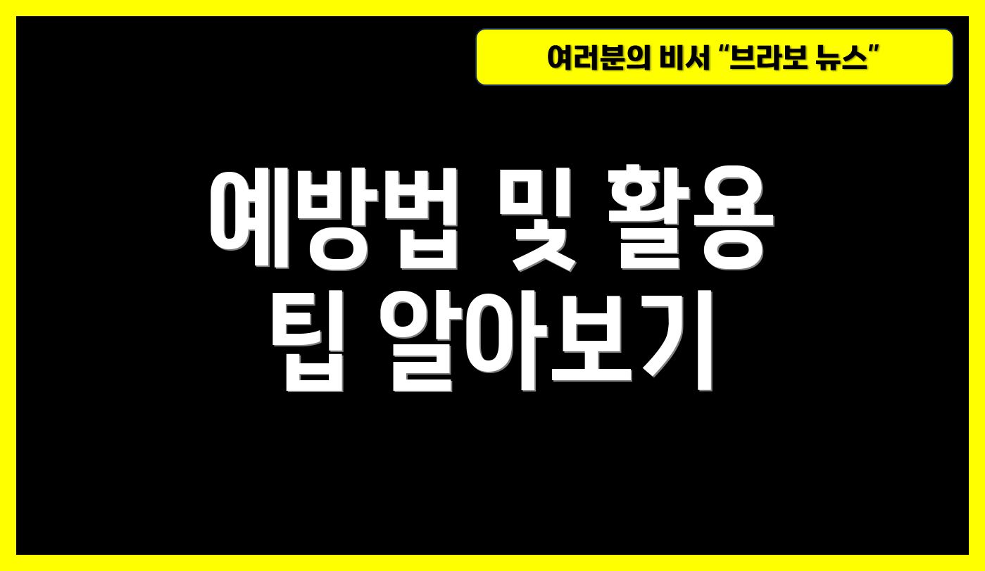 예방법 및 활용 팁 알아보기