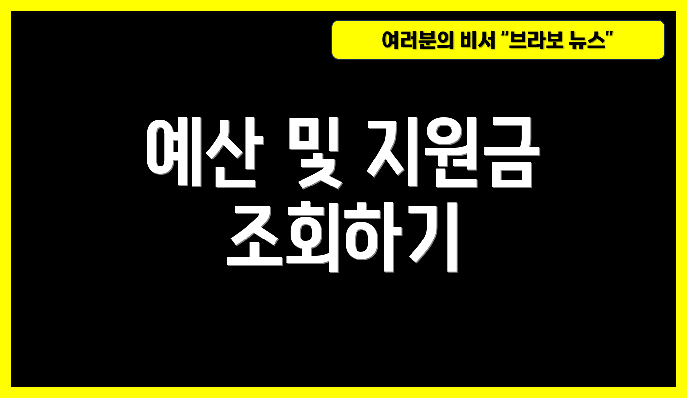 예산 및 지원금 조회하기