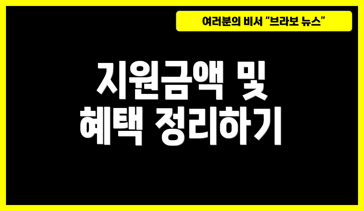 지원금액 및 혜택 정리하기