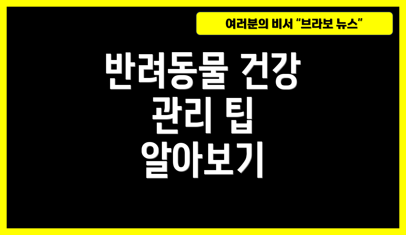 반려동물 건강 관리 팁 알아보기