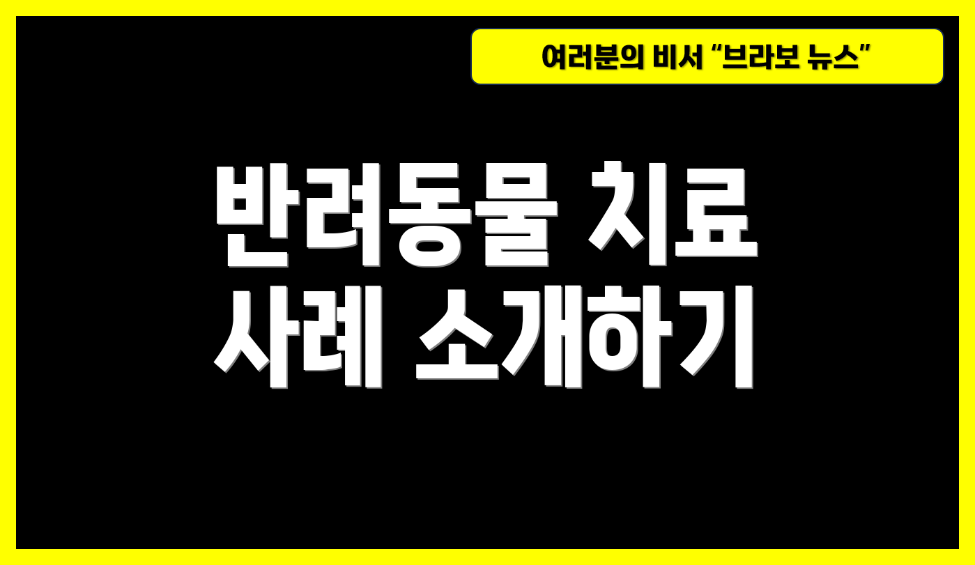 반려동물 치료 사례 소개하기