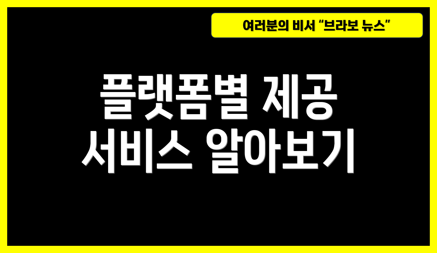 플랫폼별 제공 서비스 알아보기