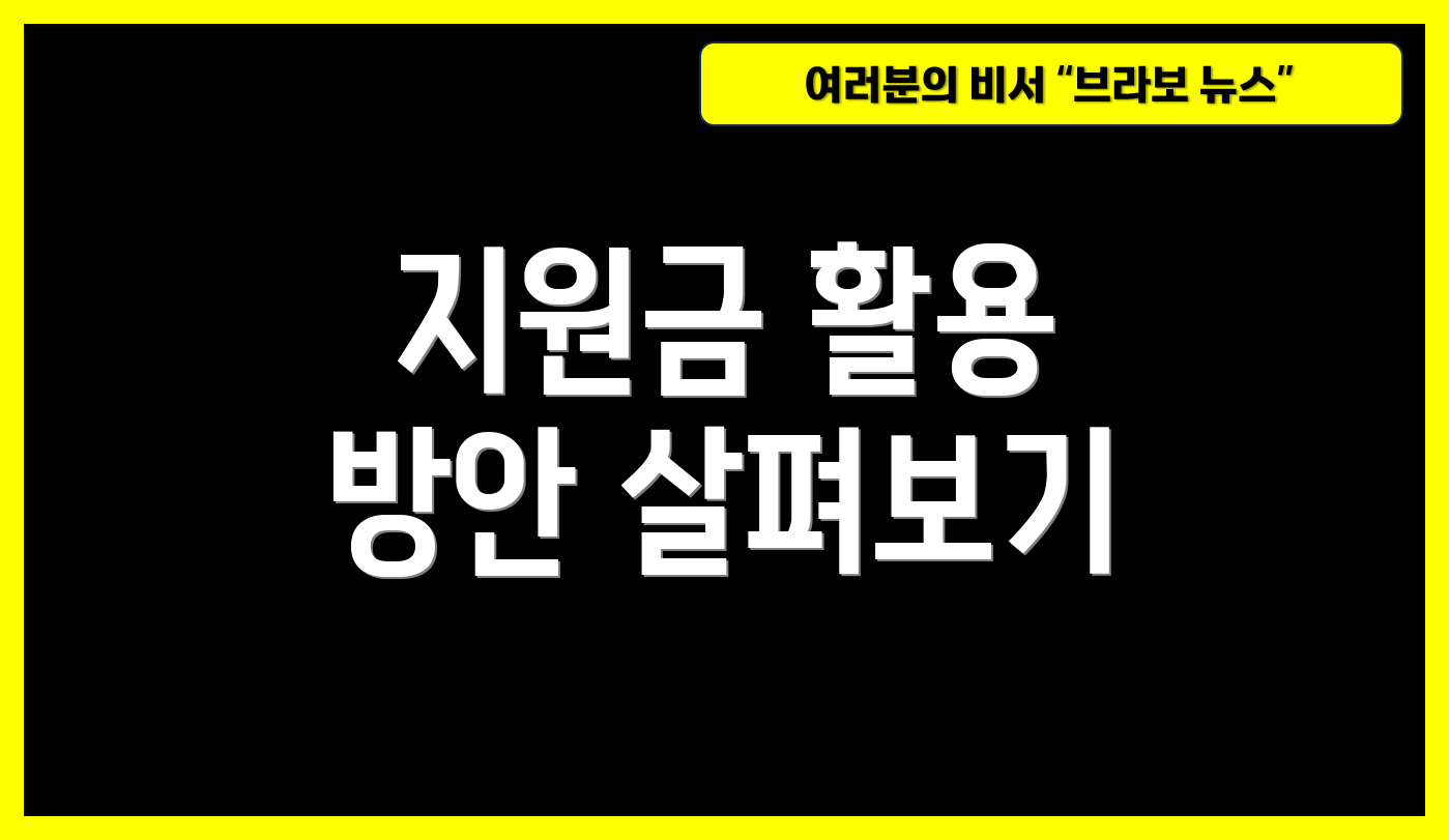 지원금 활용 방안 살펴보기
